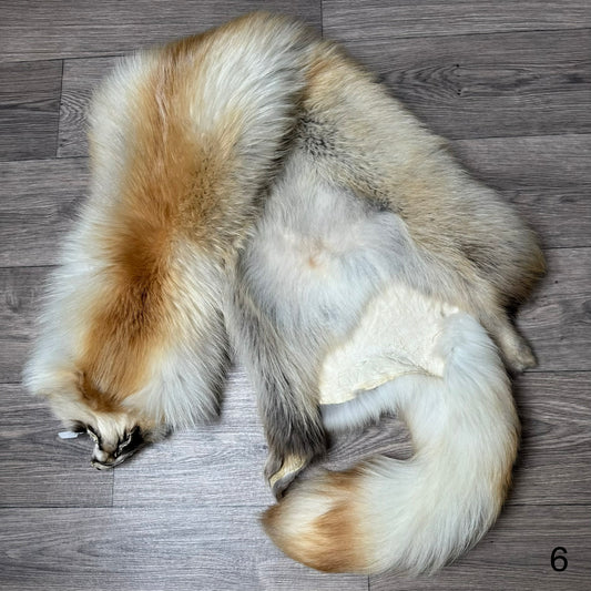 Arctic tanuki pelt (6)