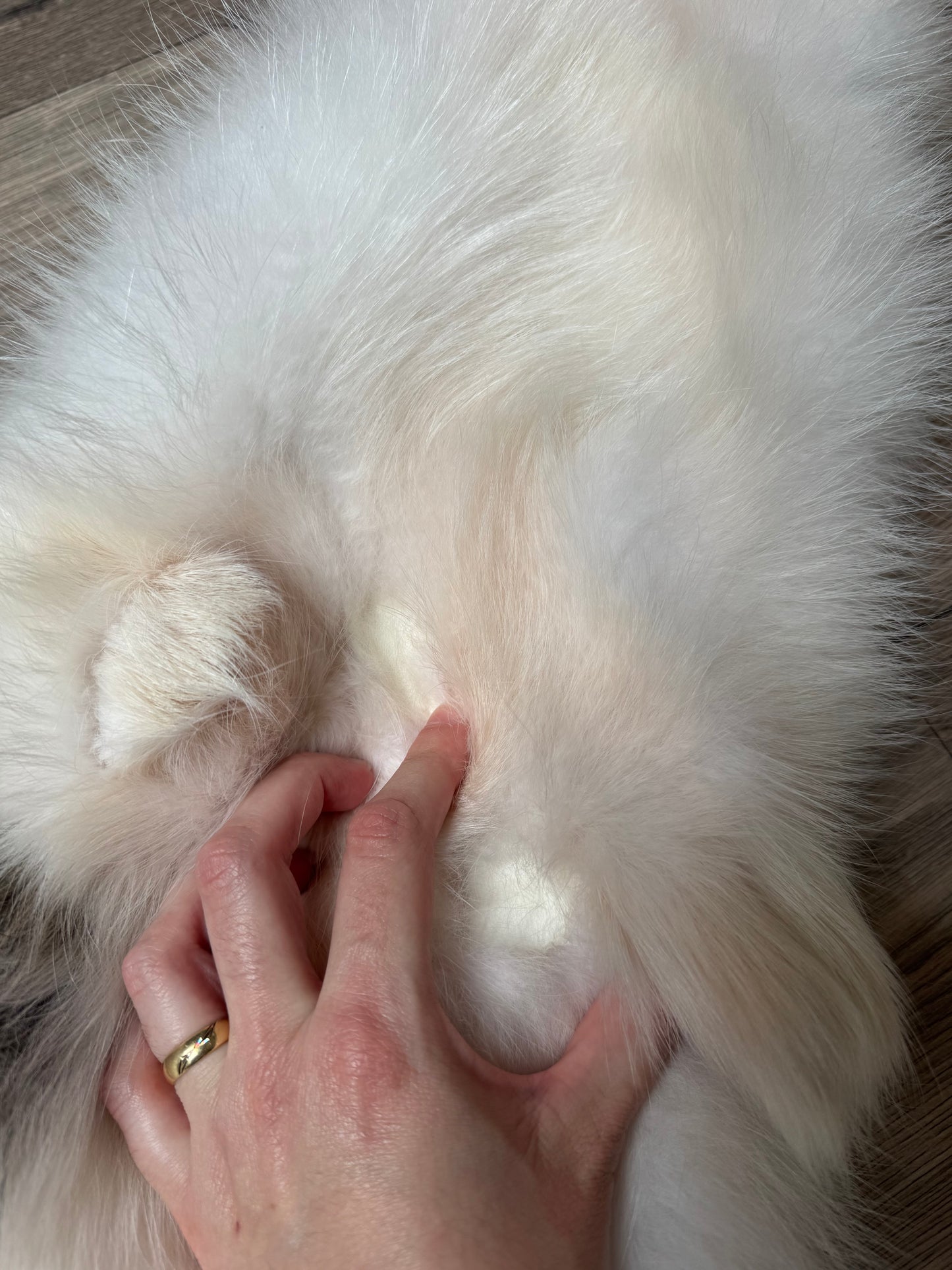 Marble tanuki pelt (16)