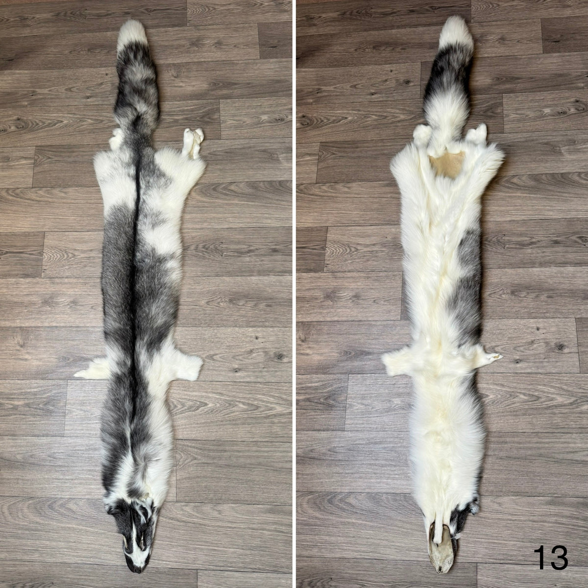 Marble Frost fox pelt (13)
