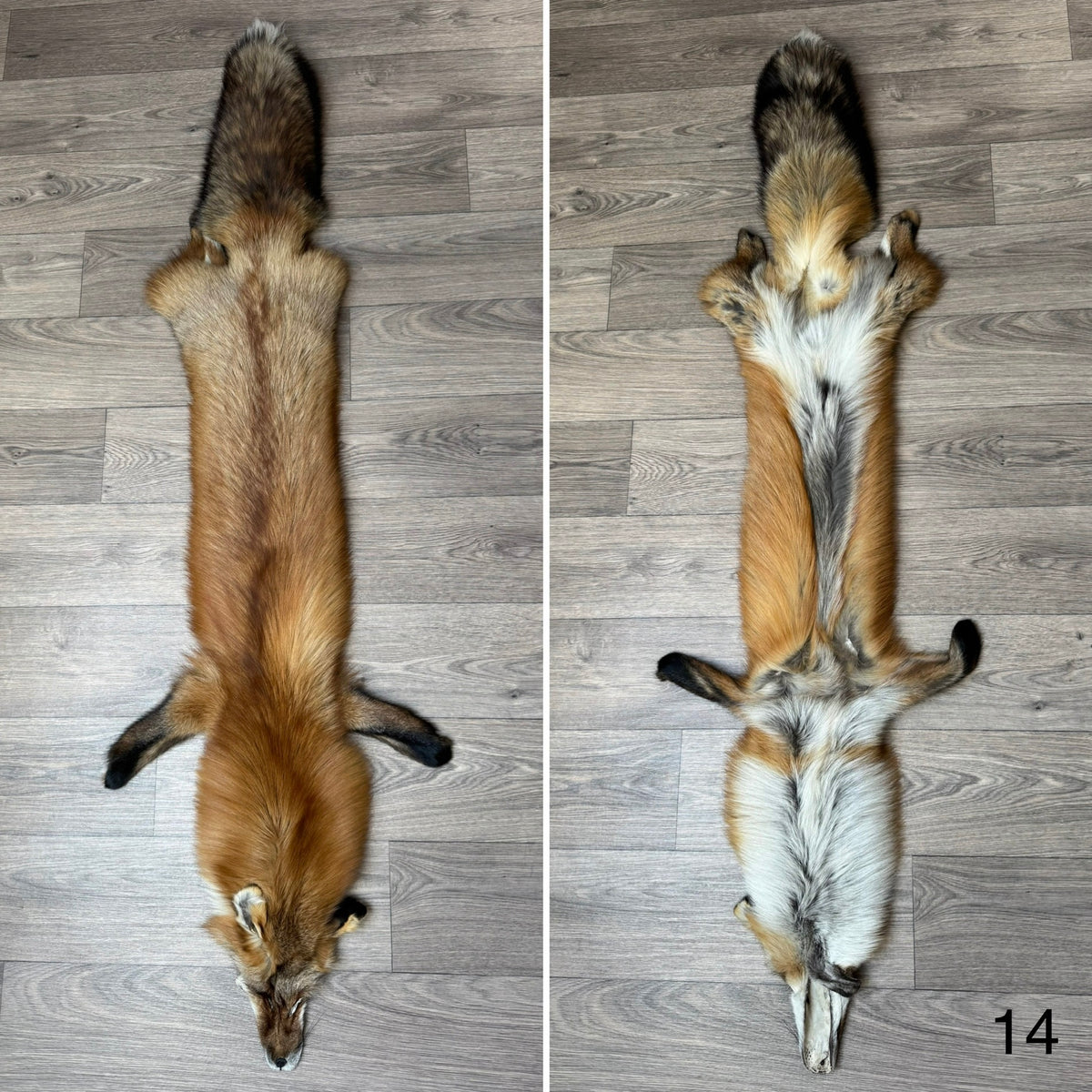 Gold fox pelt (14)