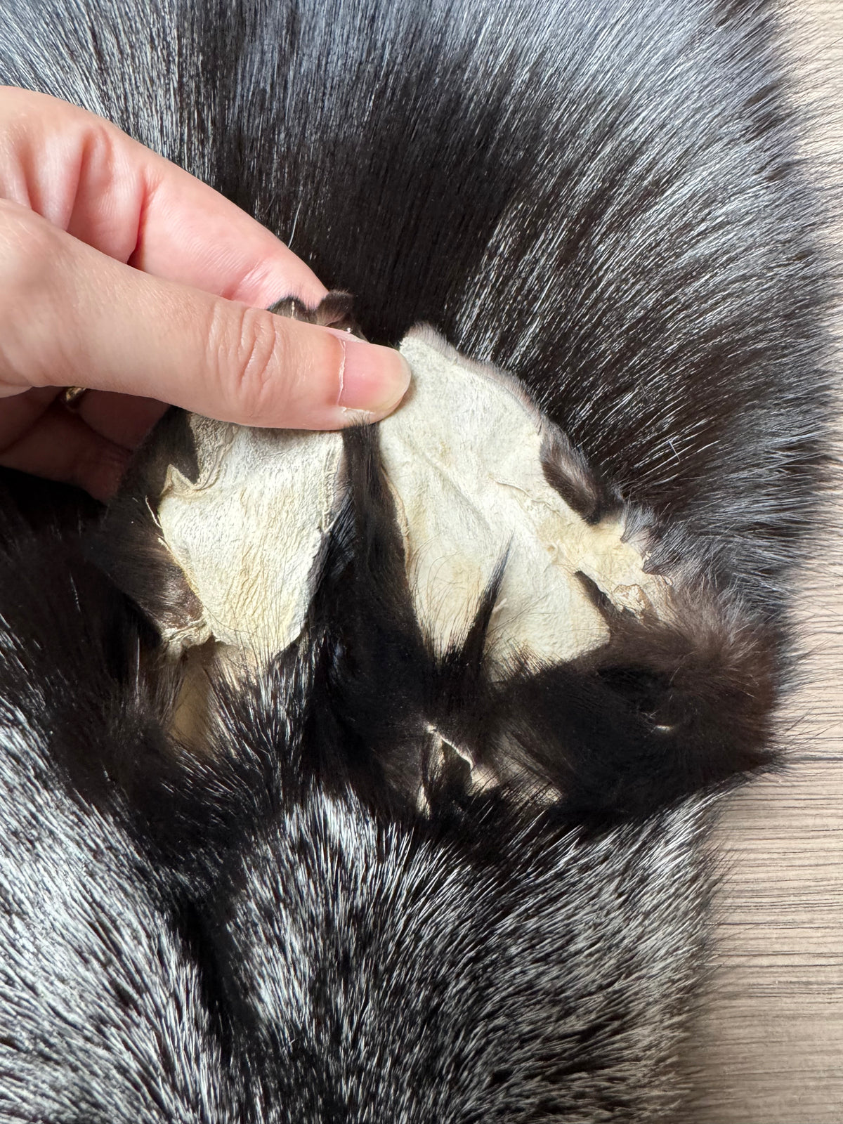 Silver fox pelt (23)