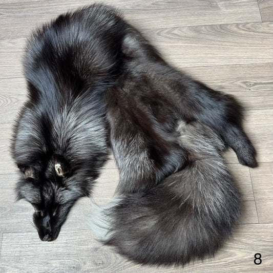 Silver fox pelt (8)