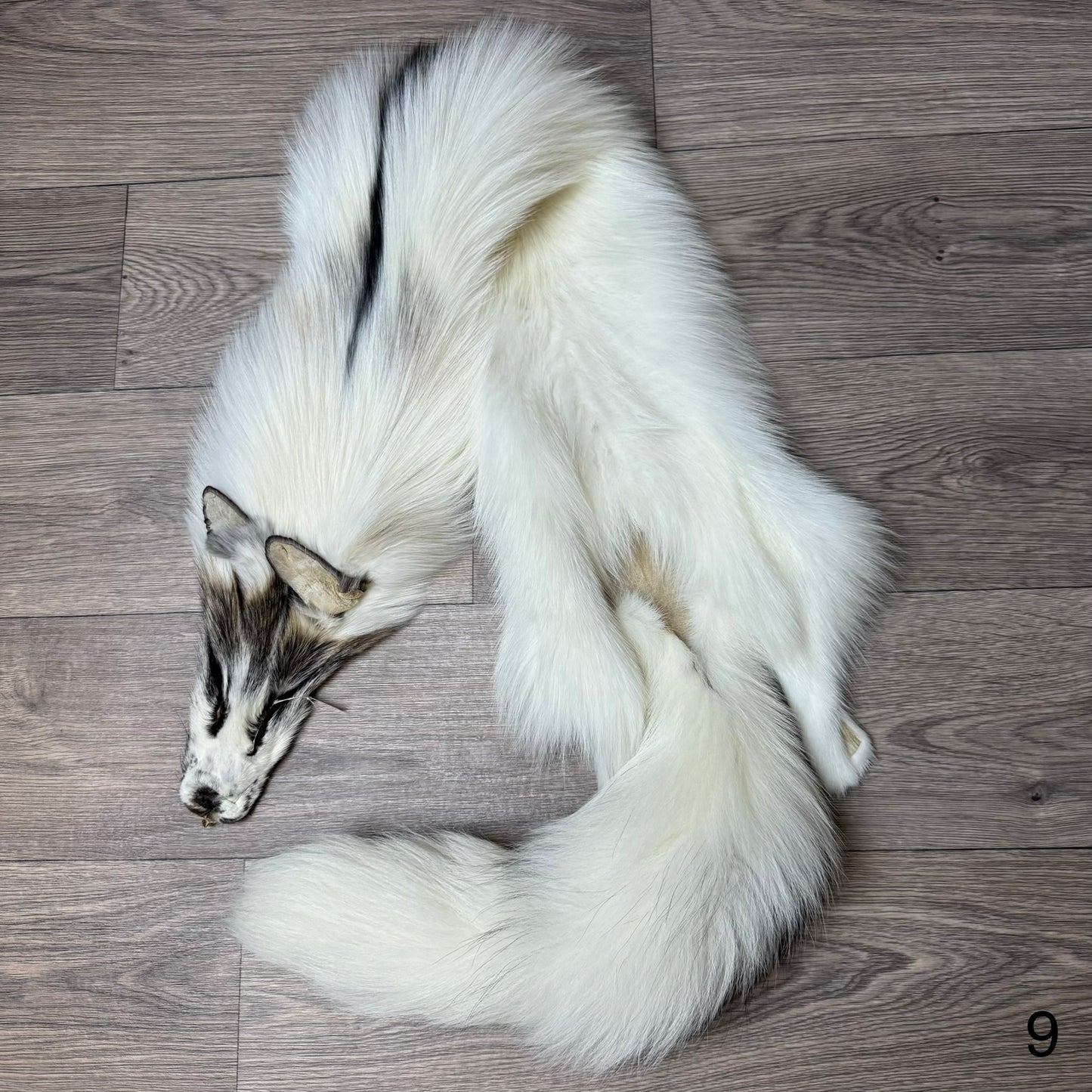 Cross Marble fox pelt (9)