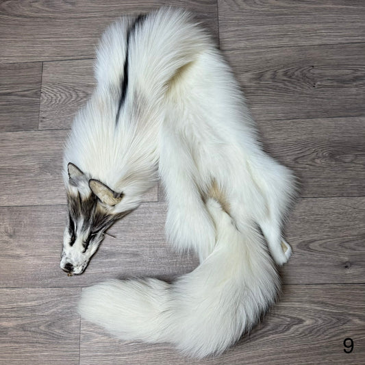 Cross Marble fox pelt (9)