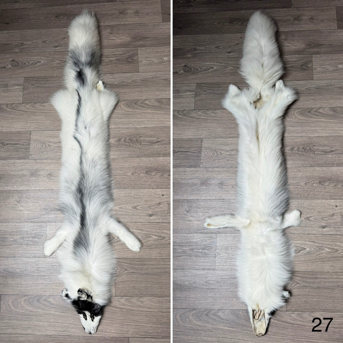Arctic Marble fox pelt (27)