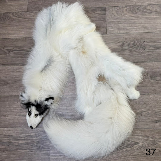 Arctic Marble fox pelt (37)