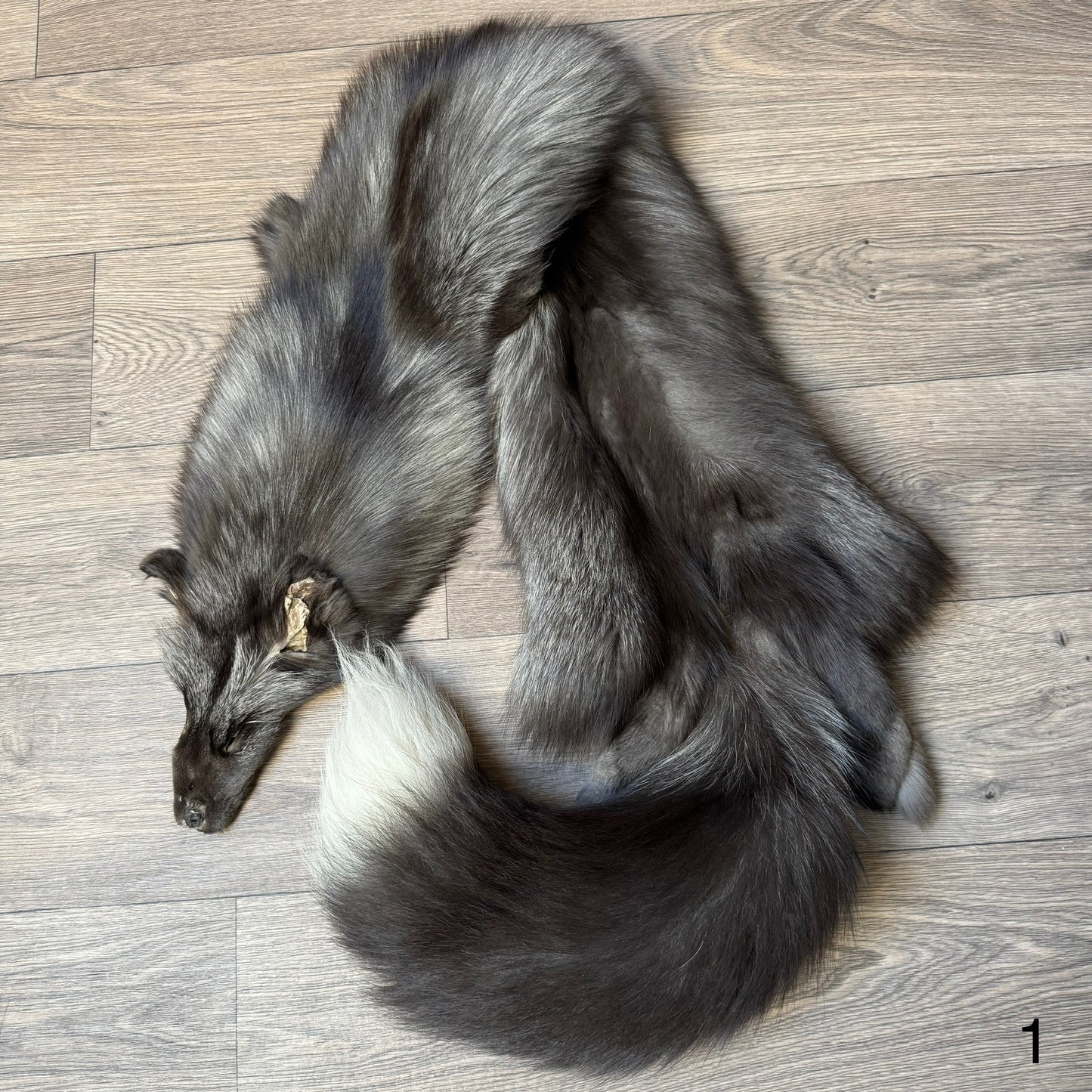 Pearl fox pelt (1)