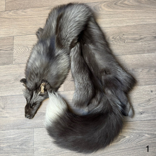 Pearl fox pelt (1)