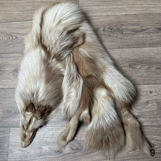 Amber fox pelt (9)