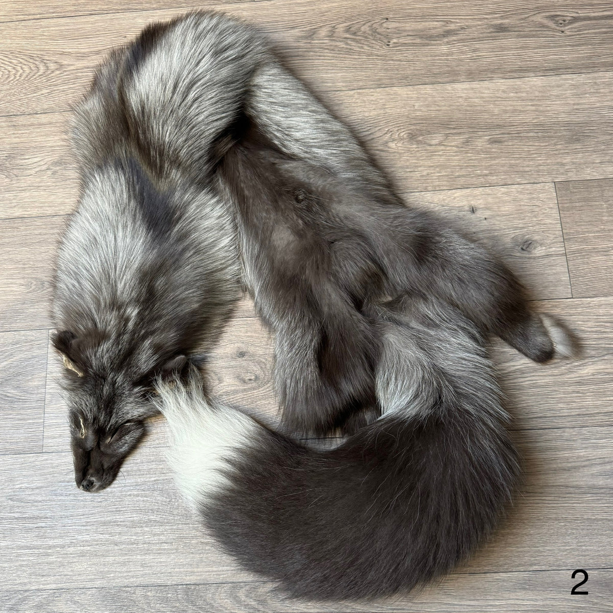 Pelt Rafiz Pearl fox pelt (2) – Orange Lion Creations