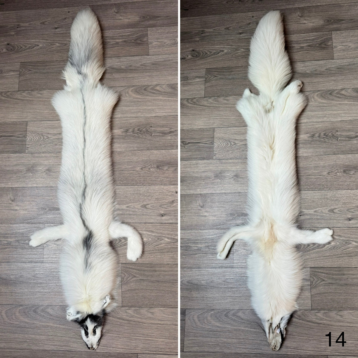 Arctic Marble fox pelt (14)