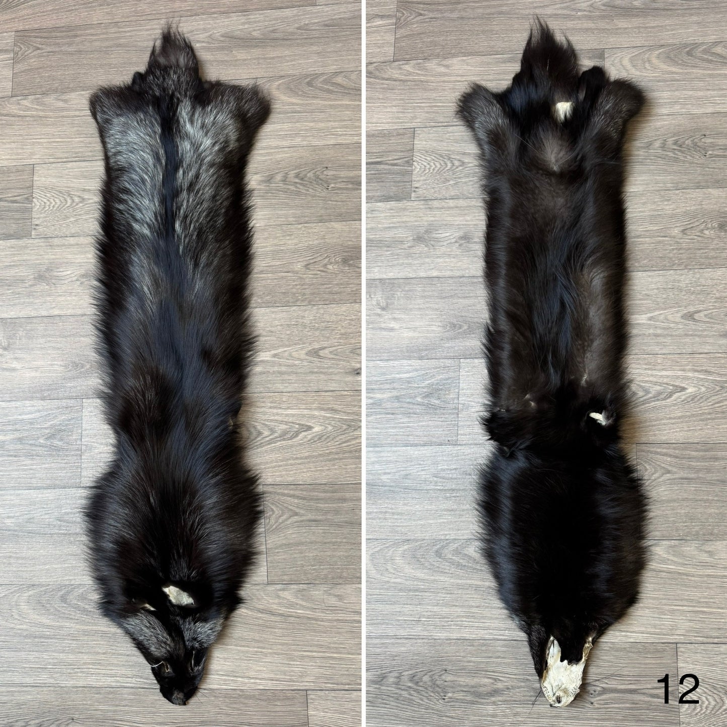 Silver fox pelt (12)
