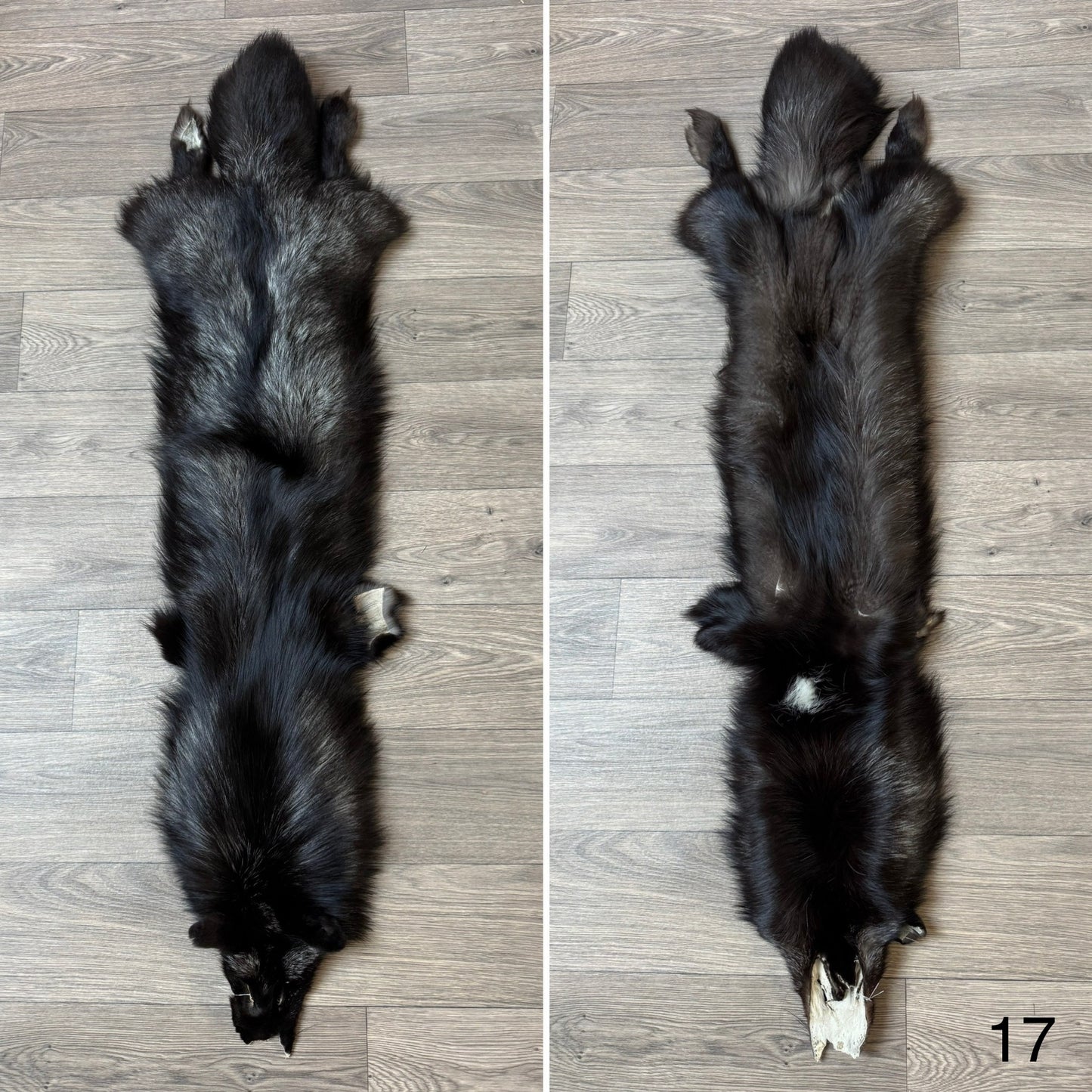Silver fox pelt (17)