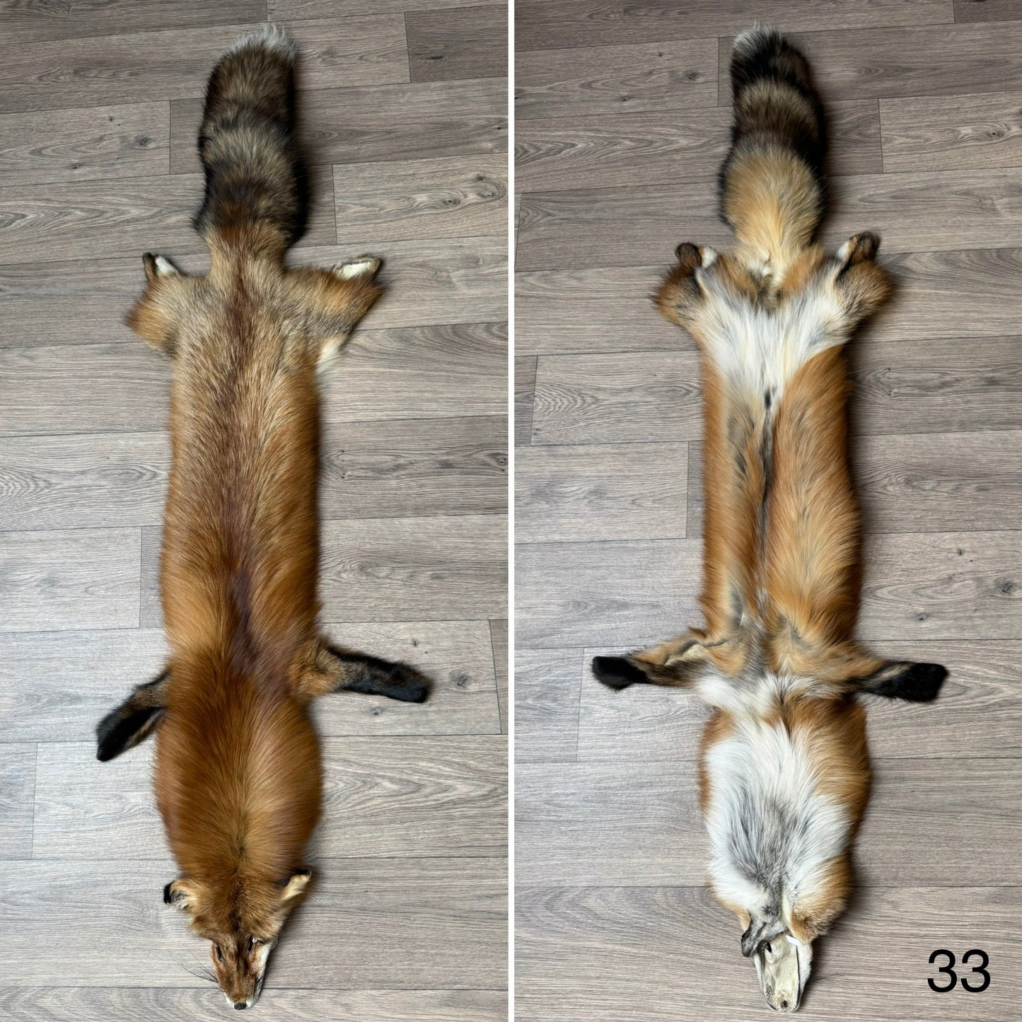 Gold fox pelt (33)