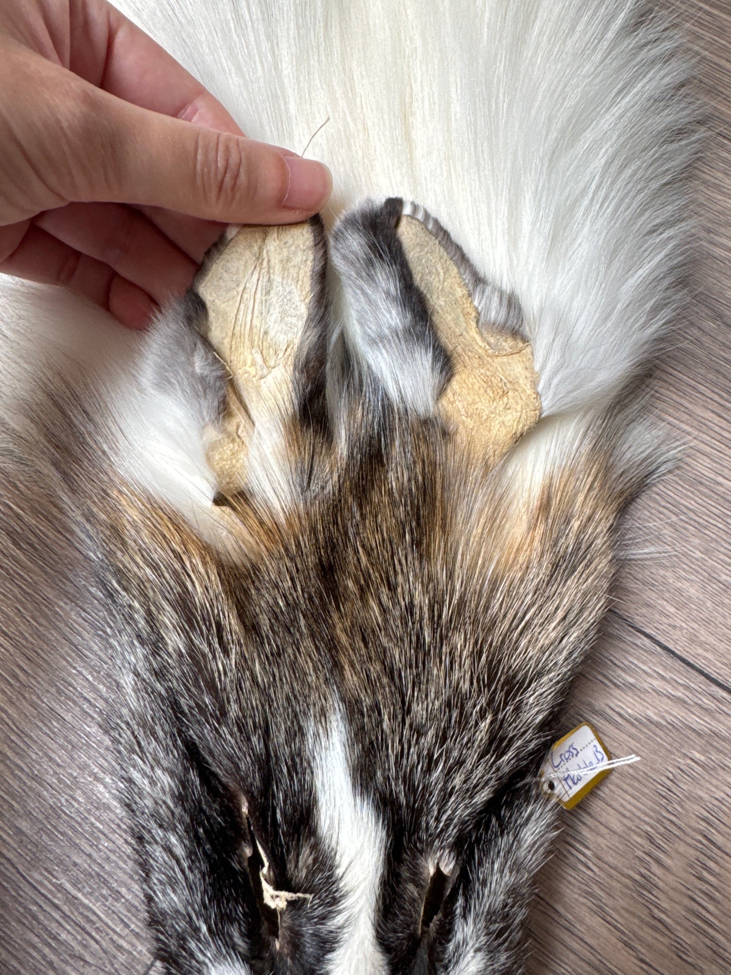 Cross Marble fox pelt (13)