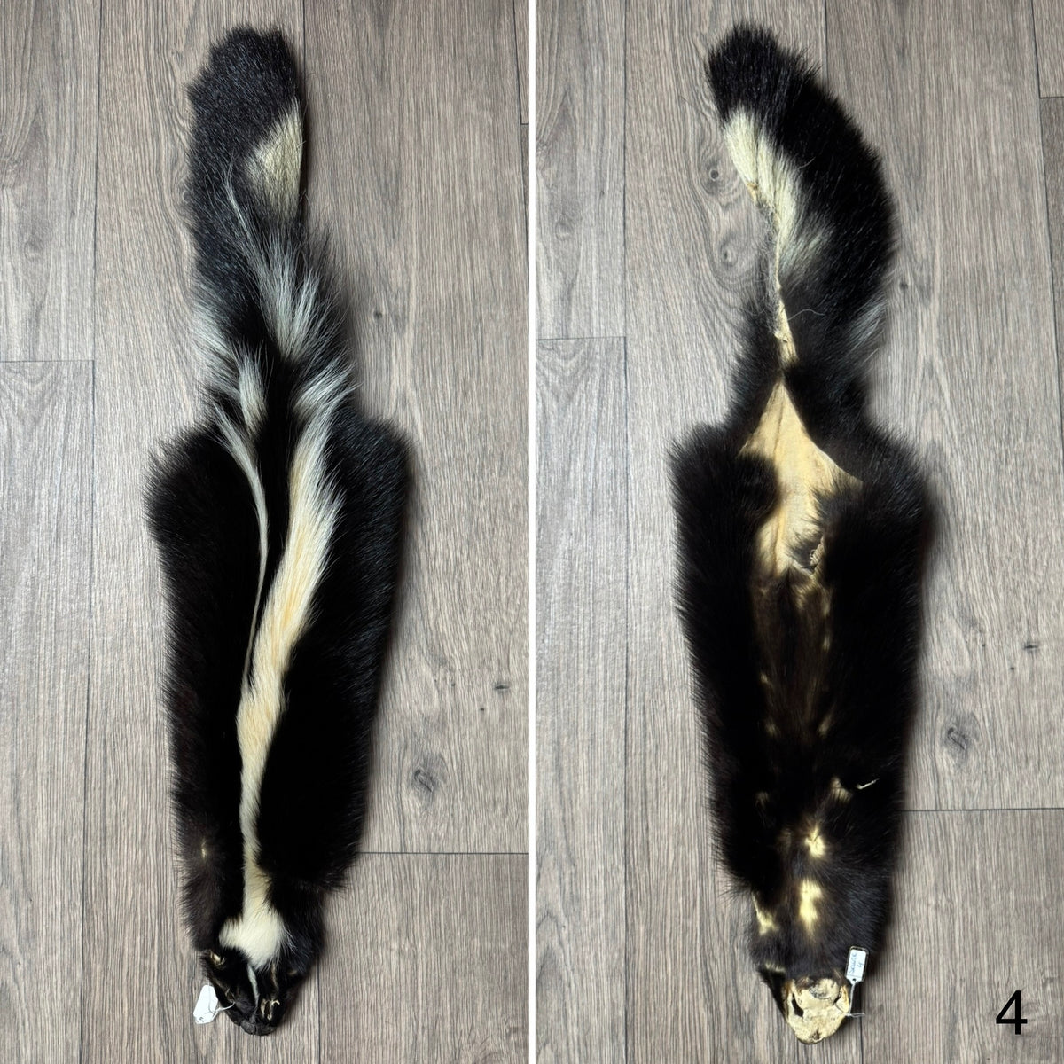 Skunk pelt (4)