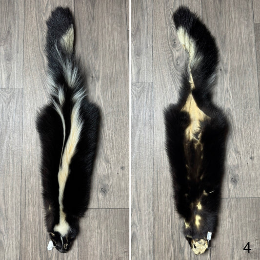 Skunk pelt (4)