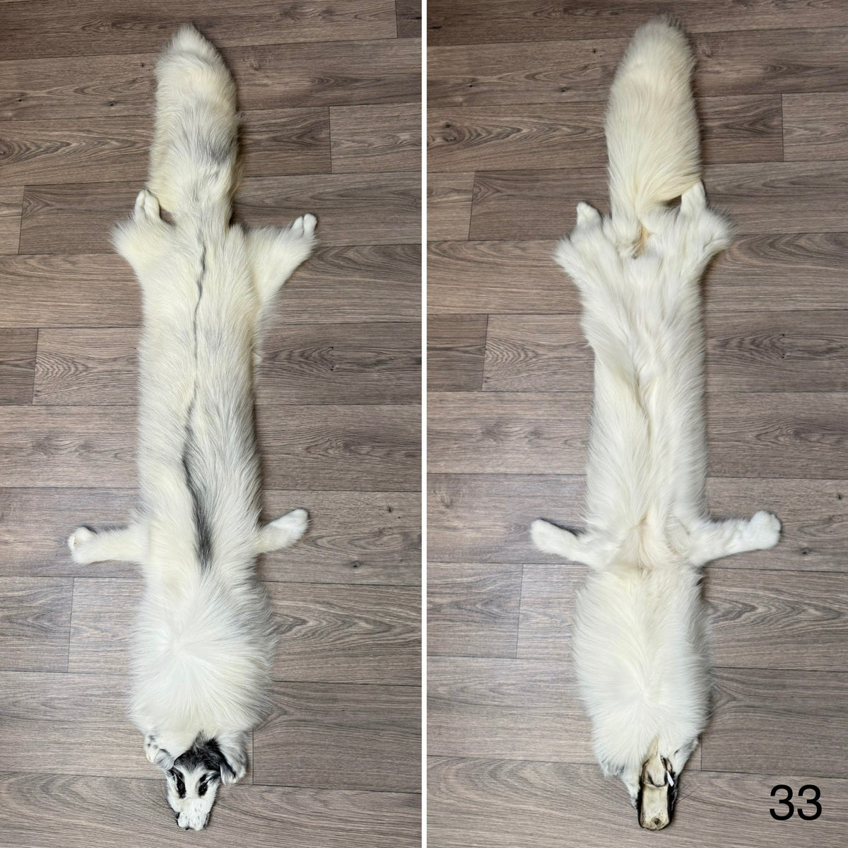 Arctic Marble fox pelt (33)