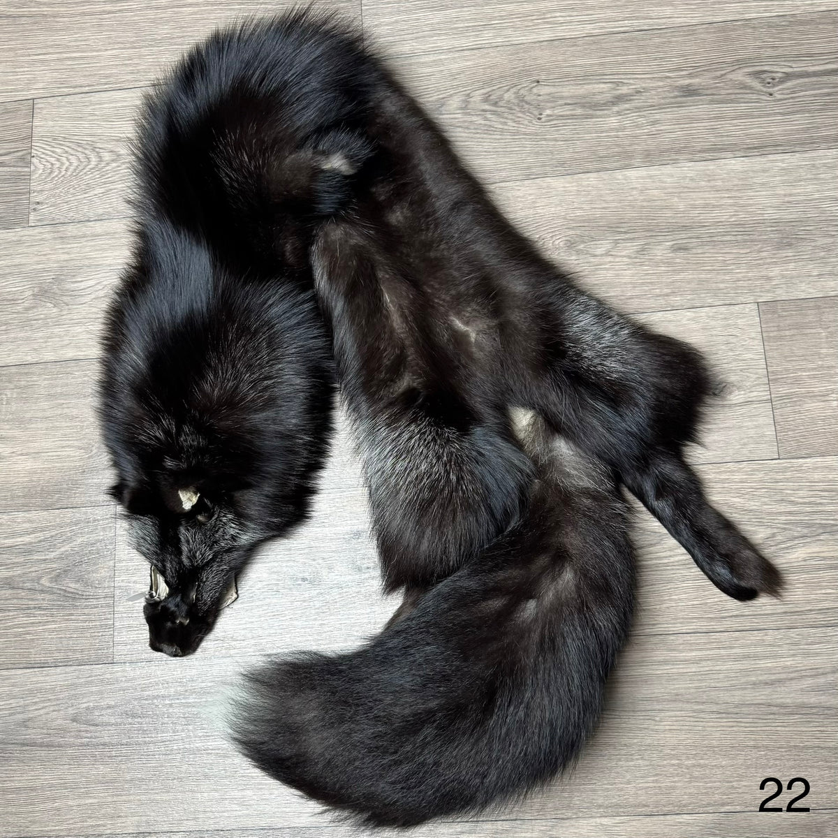 Silver fox pelt (22)