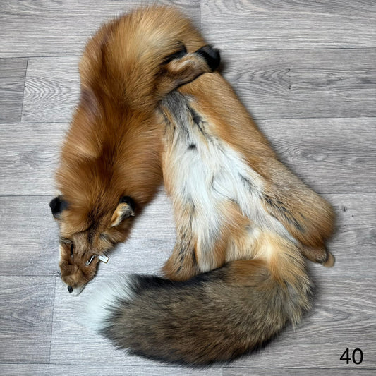 Gold fox pelt (40)