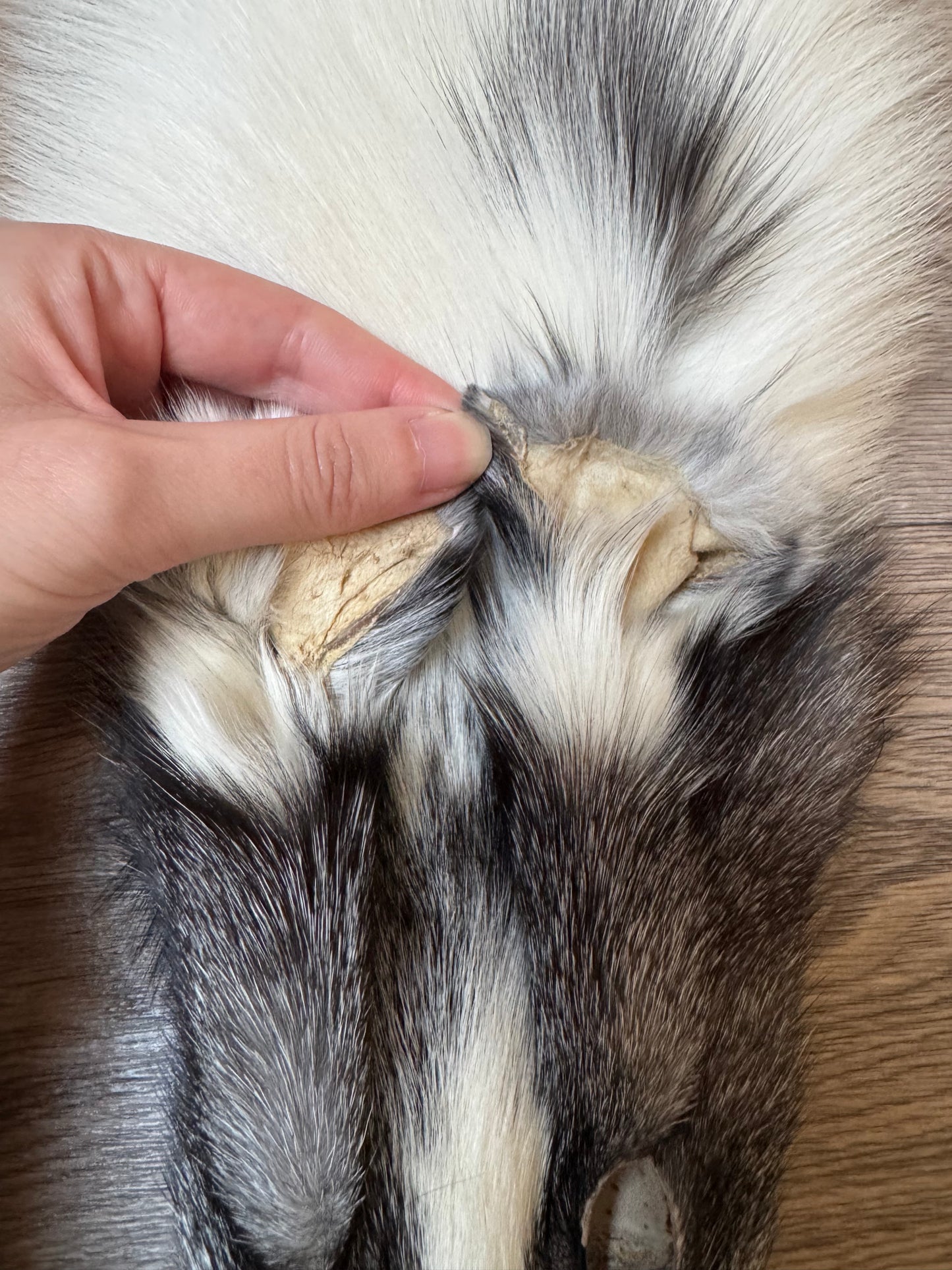 Marble Frost fox pelt (11)