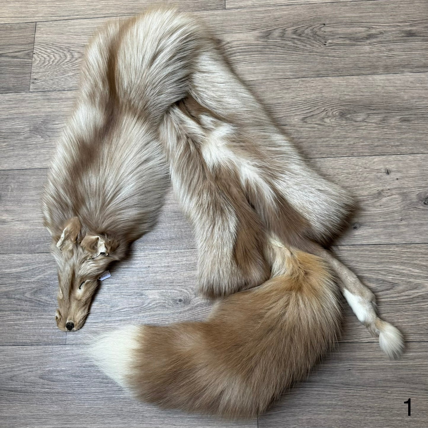 Amber fox pelt (1)