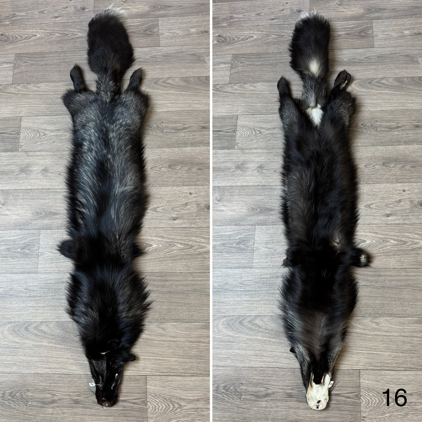 Silver fox pelt (16)