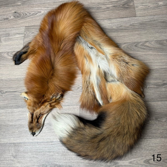 Gold fox pelt (15)