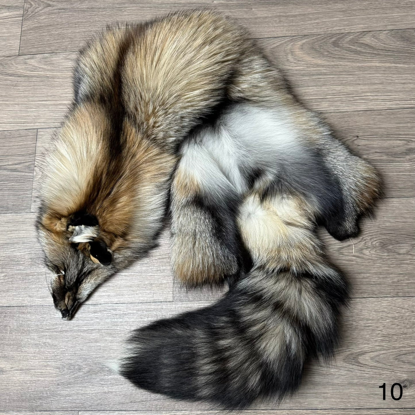 Smokey fox pelt (10)