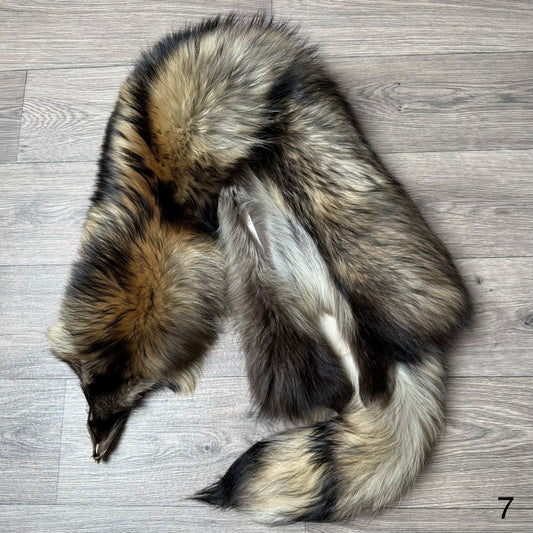 Tanuki pelt (7)
