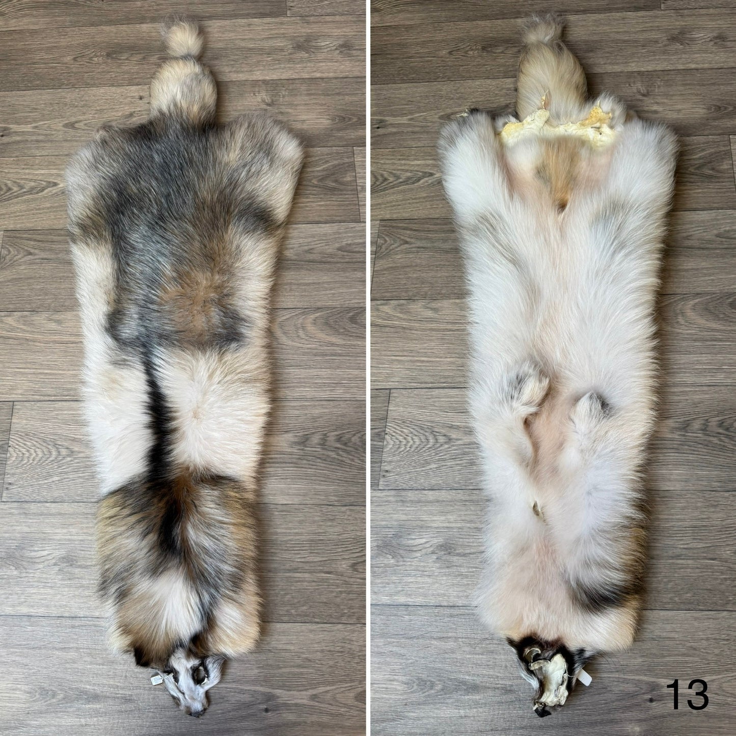 Marble tanuki pelt (13)