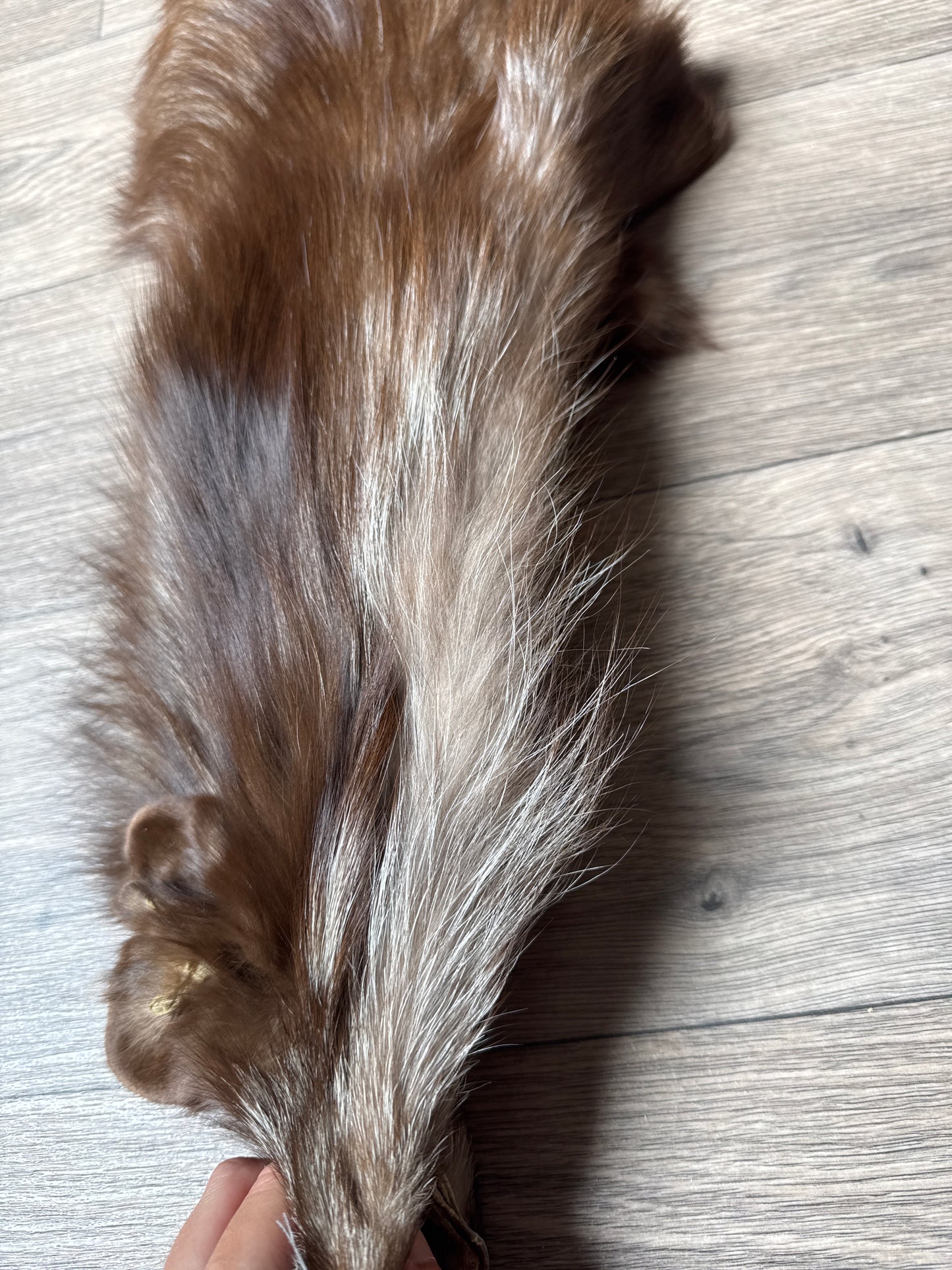 Burgundy fox pelt (9)