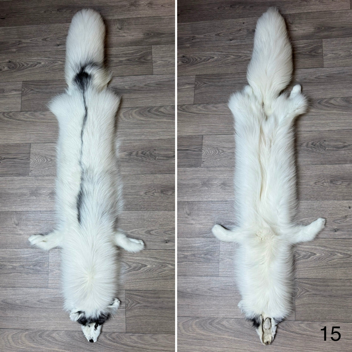 Arctic Marble fox pelt (15)