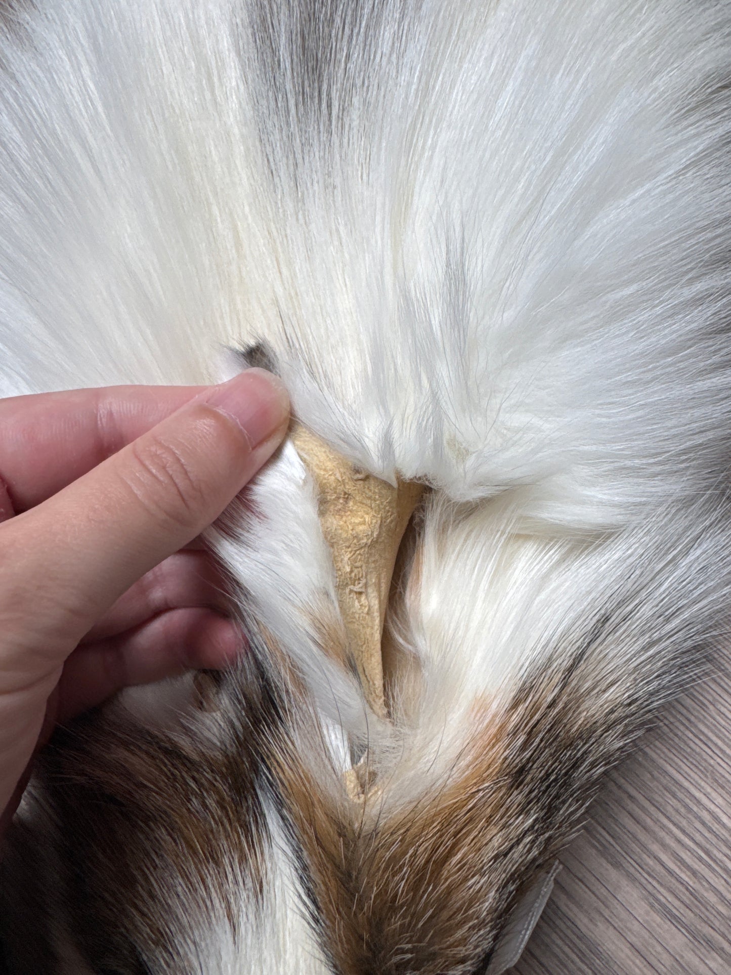 Cross Marble fox pelt (11)