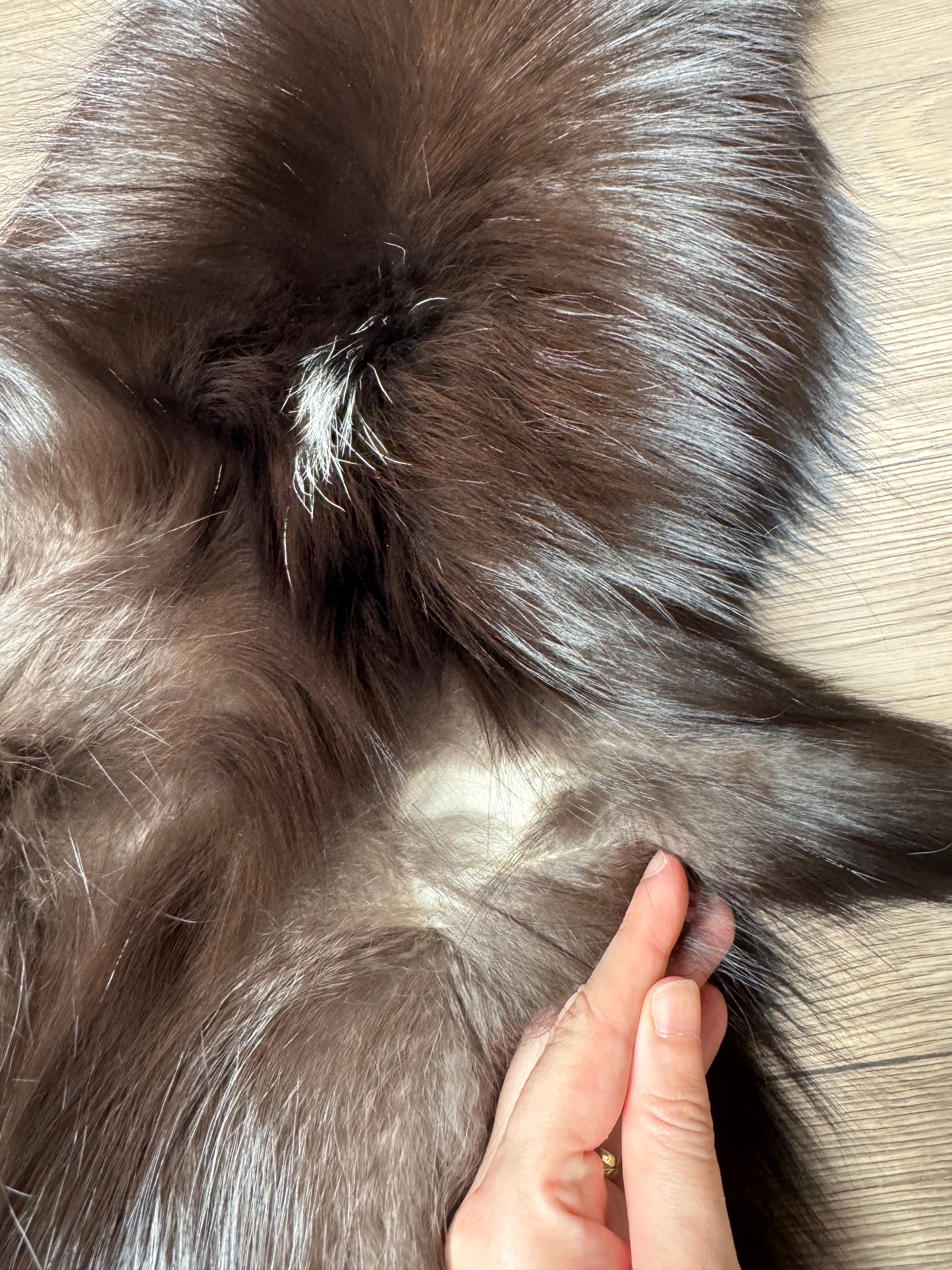 Silver fox pelt (21)