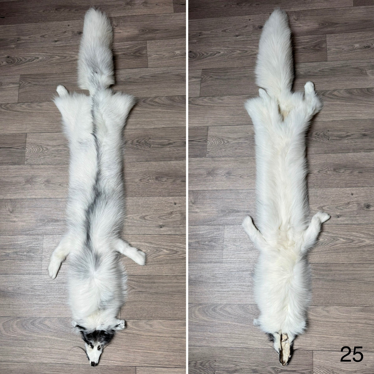 Arctic Marble fox pelt (25)