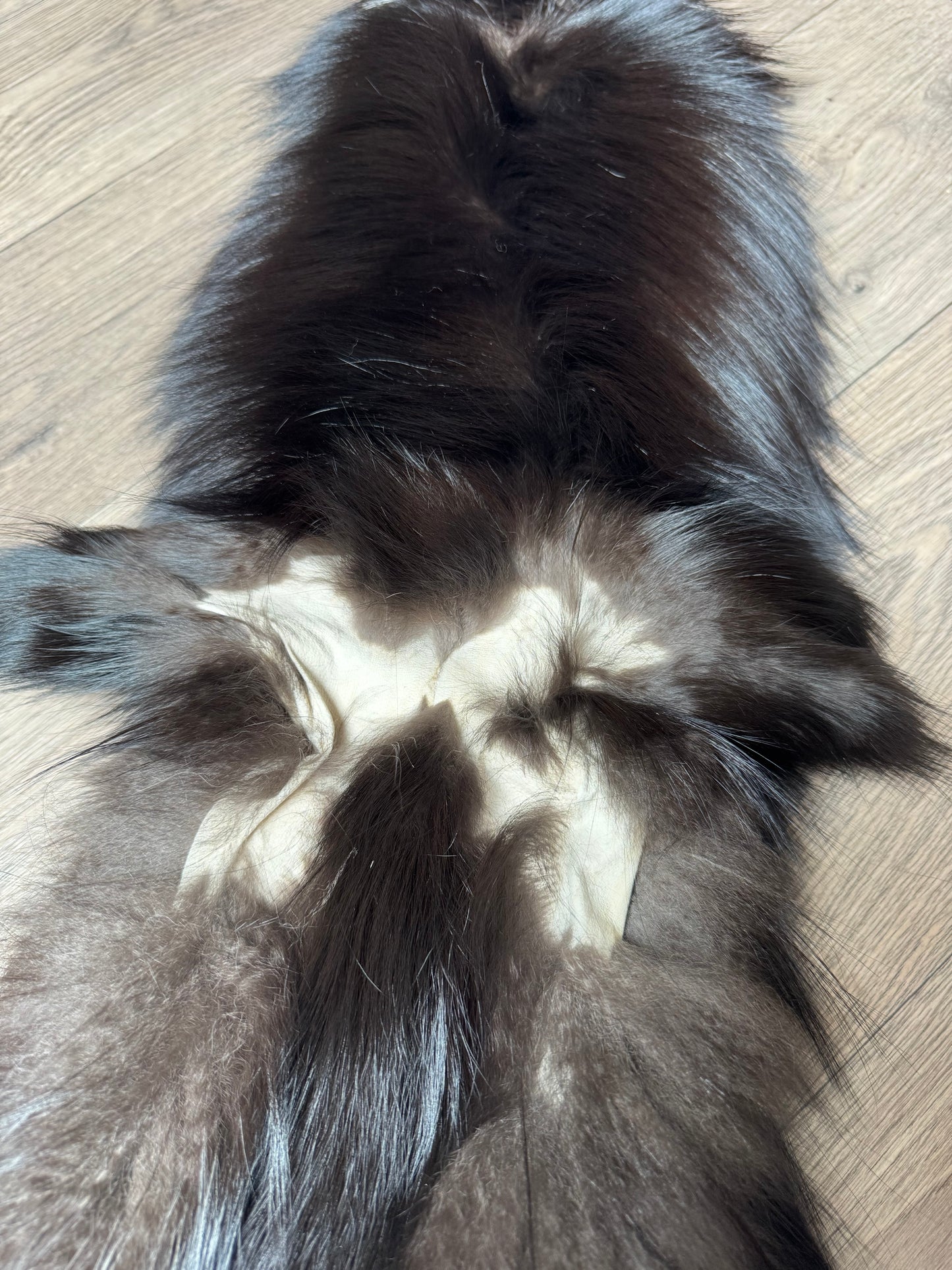 Silver fox pelt (18)