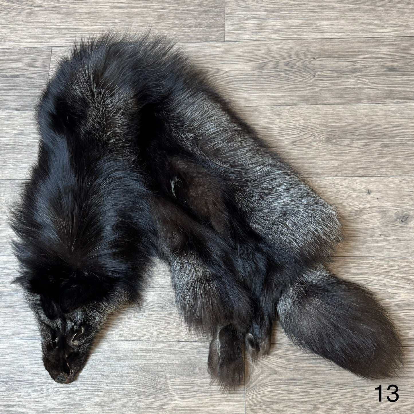 Silver fox pelt (13)