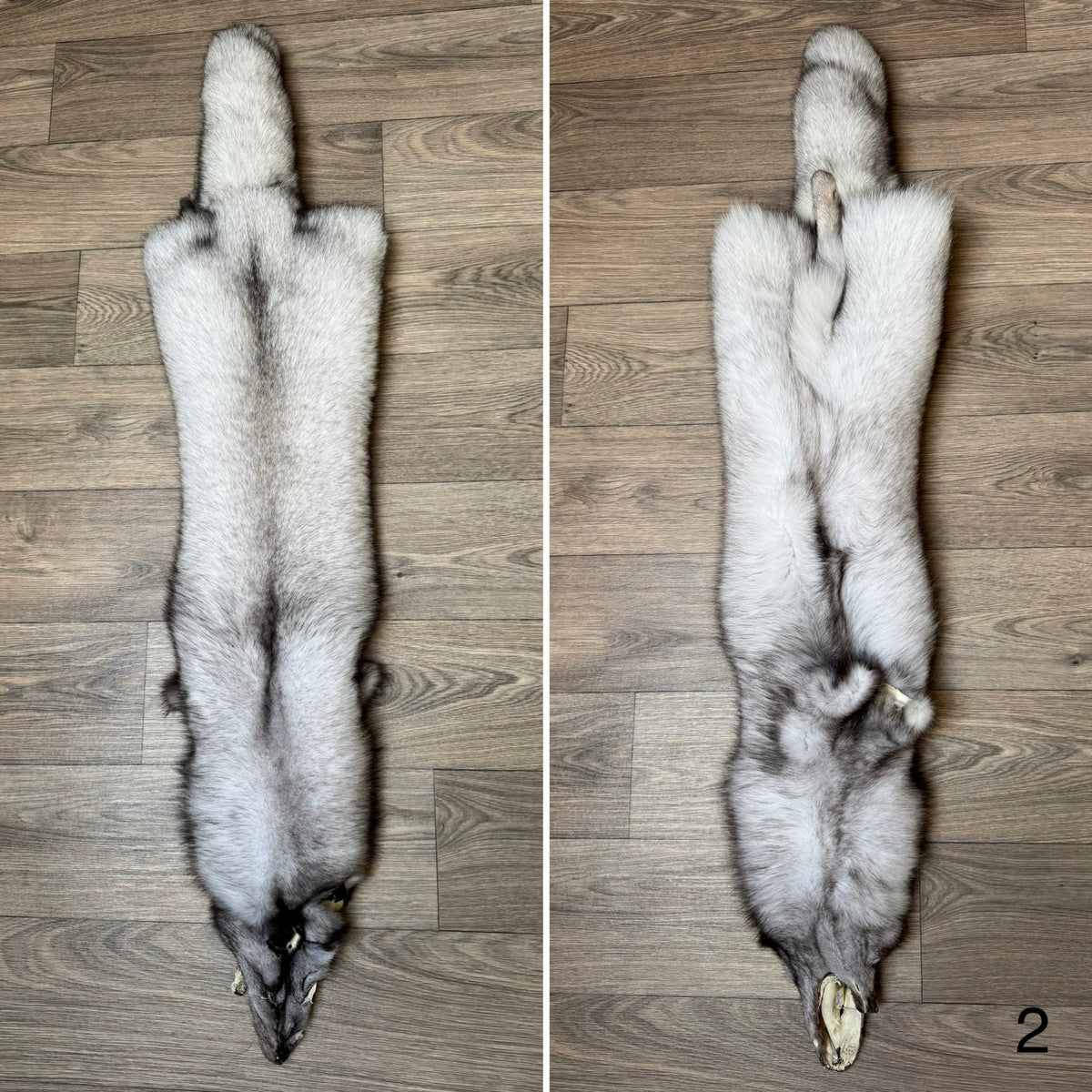 Blue fox pelt (2)