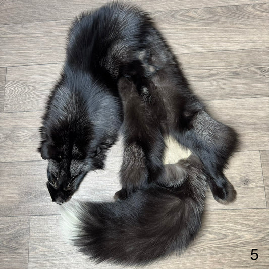 Silver fox pelt (5)
