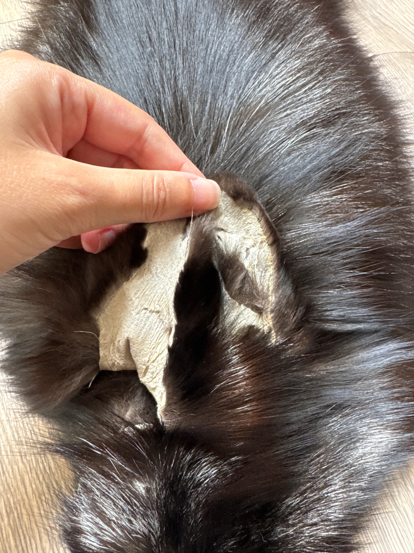 Silver fox pelt (17)