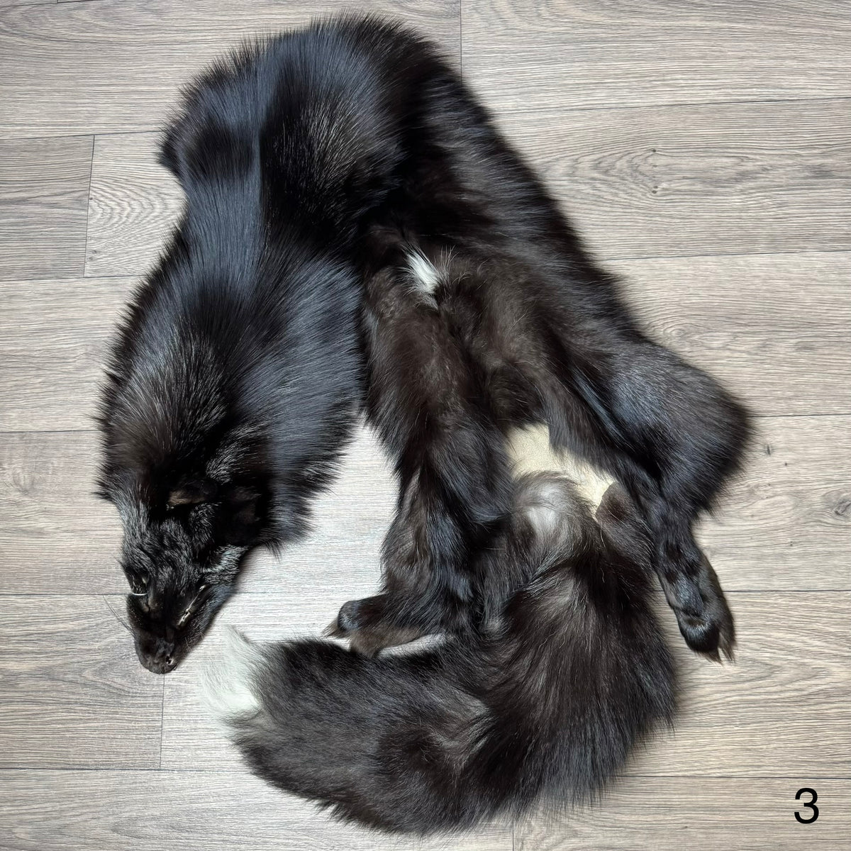 Silver fox pelt (3)