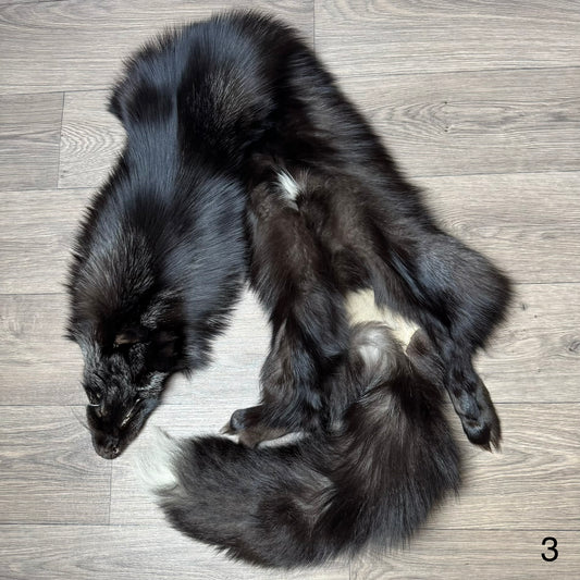 Silver fox pelt (3)