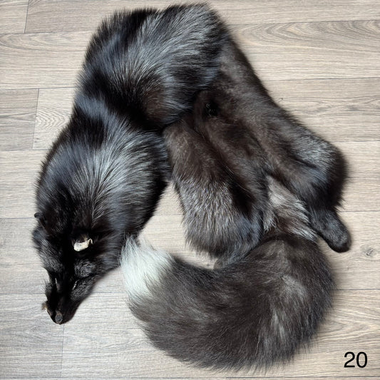 Silver fox pelt (20)