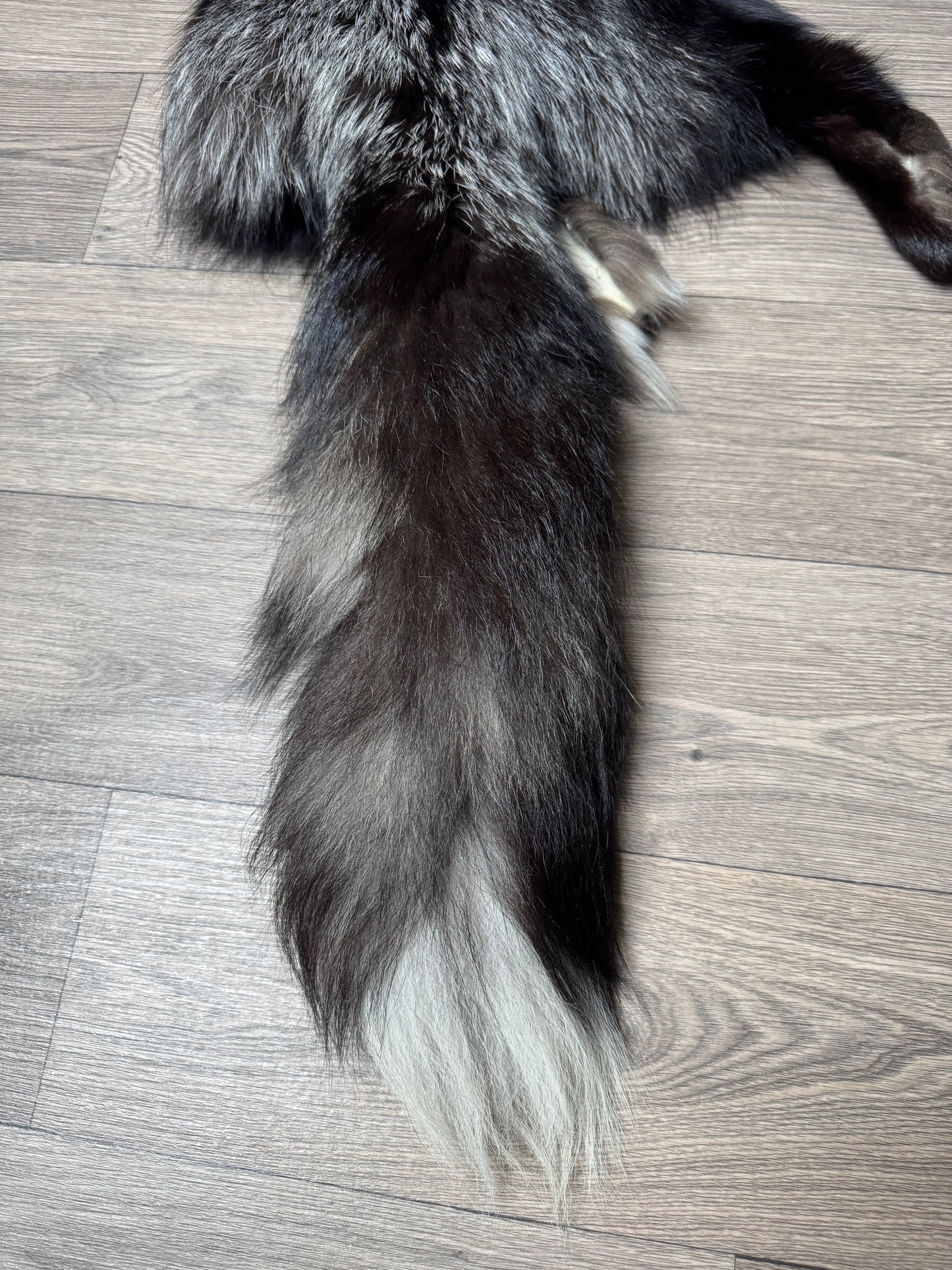 Silver fox pelt (22)