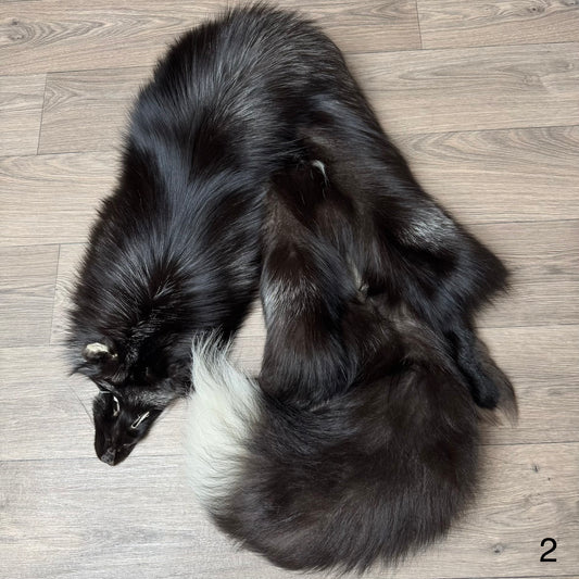Silver fox pelt (2)