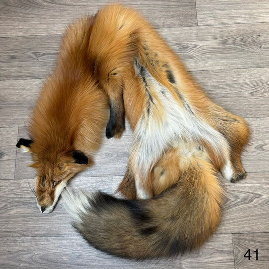 Gold fox pelt (41)