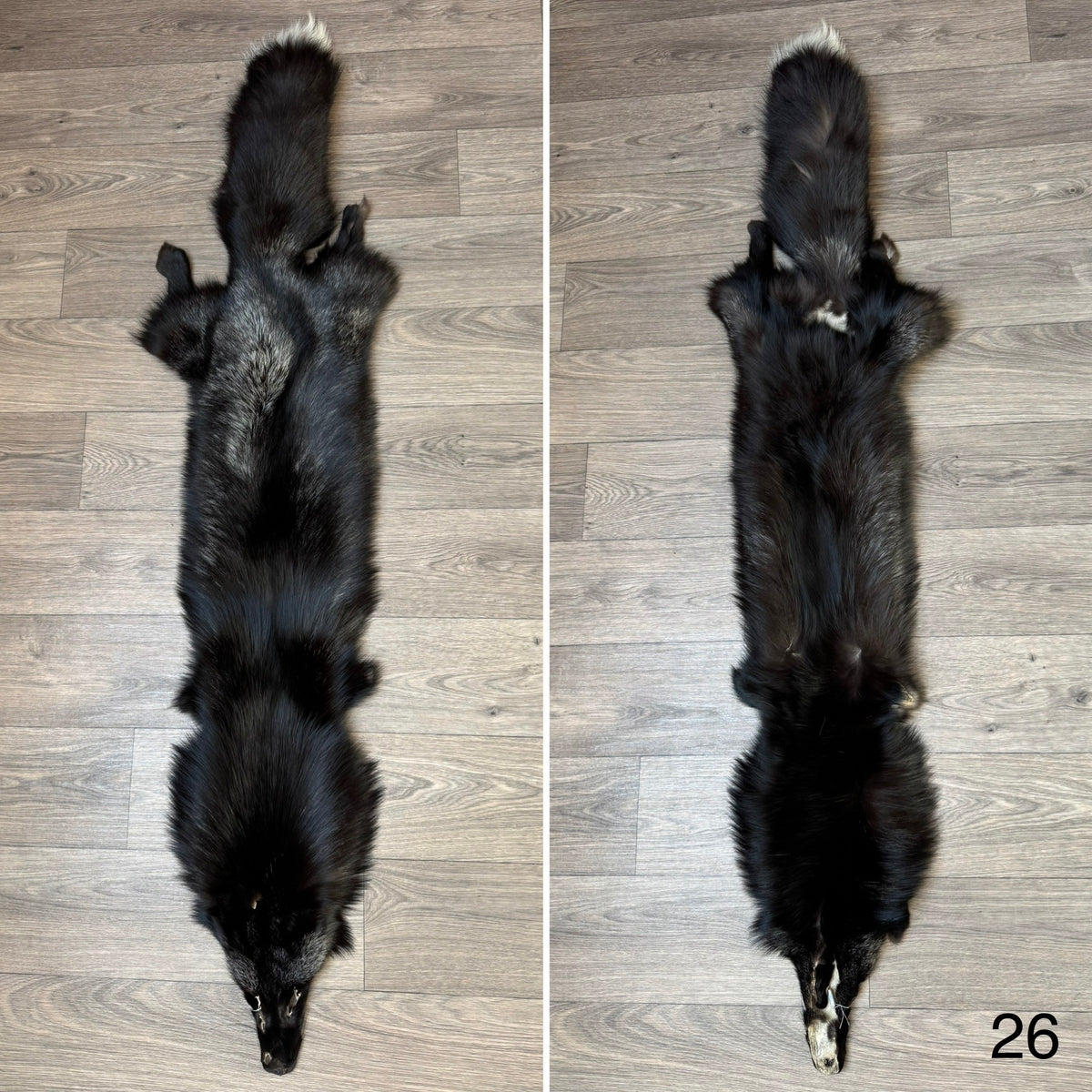 Silver fox pelt (26)