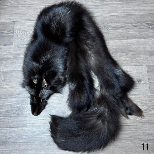 Silver fox pelt (11)