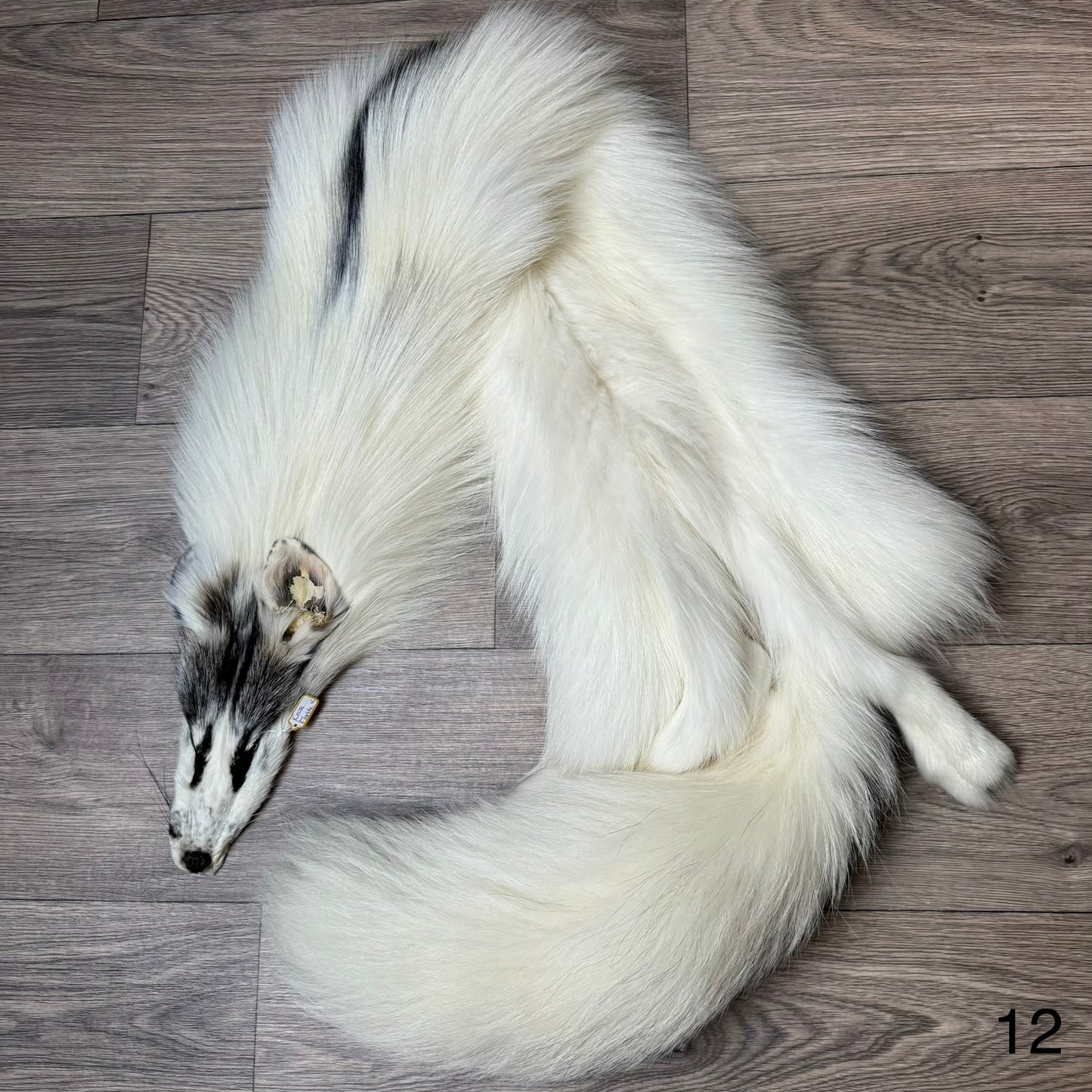 Cross Marble fox pelt (12)